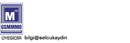 İstanbul Rehberi - Selçuk AYDIN - Serbest Muhasebeci Mali Müşavir